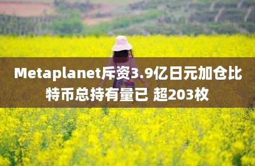 Metaplanet斥资3.9亿日元加仓比特币总持有量已 超203枚