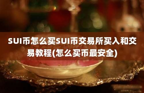 SUI币怎么买SUI币交易所买入和交易教程(怎么买币最安全)