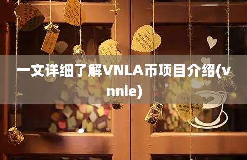 一文详细了解VNLA币项目介绍(vnnie)