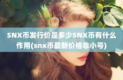 SNX币发行价是多少SNX币有什么作用(snx币最新价格非小号)