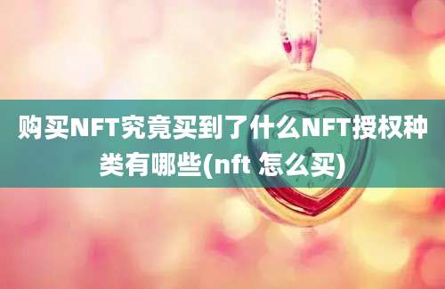 购买NFT究竟买到了什么NFT授权种类有哪些(nft 怎么买)