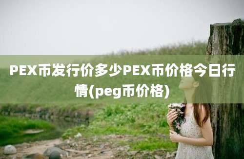 PEX币发行价多少PEX币价格今日行情(peg币价格)