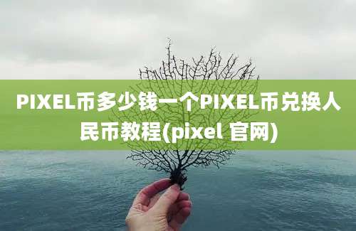 PIXEL币多少钱一个PIXEL币兑换人民币教程(pixel 官网)