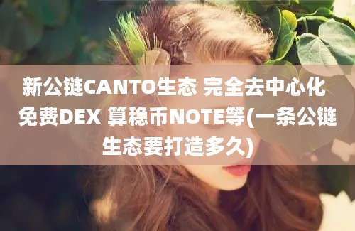 新公链CANTO生态 完全去中心化 免费DEX 算稳币NOTE等(一条公链生态要打造多久)