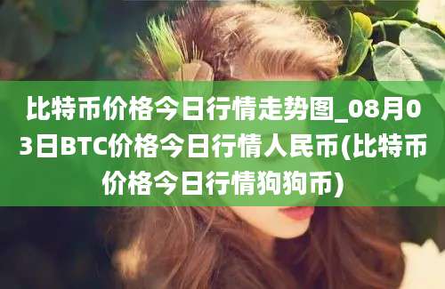 比特币价格今日行情走势图_08月03日BTC价格今日行情人民币(比特币价格今日行情狗狗币)