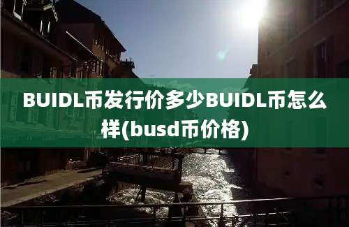 BUIDL币发行价多少BUIDL币怎么样(busd币价格)