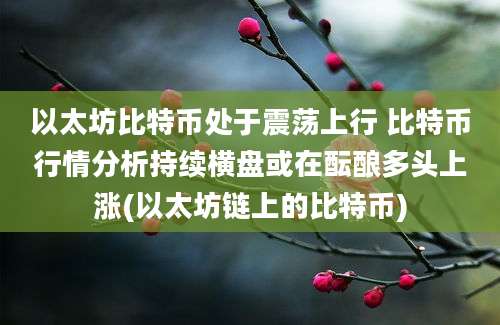 以太坊比特币处于震荡上行 比特币行情分析持续横盘或在酝酿多头上涨(以太坊链上的比特币)