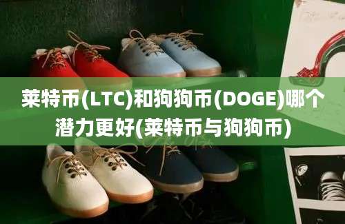 莱特币(LTC)和狗狗币(DOGE)哪个潜力更好(莱特币与狗狗币)