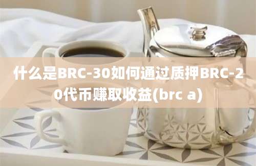 什么是BRC-30如何通过质押BRC-20代币赚取收益(brc a)