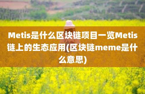 Metis是什么区块链项目一览Metis链上的生态应用(区块链meme是什么意思)