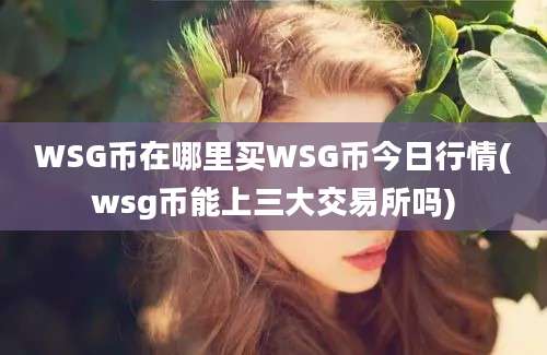 WSG币在哪里买WSG币今日行情(wsg币能上三大交易所吗)