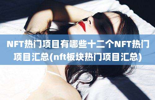 NFT热门项目有哪些十二个NFT热门项目汇总(nft板块热门项目汇总)