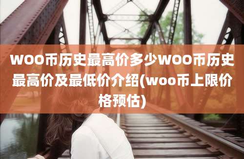 WOO币历史最高价多少WOO币历史最高价及最低价介绍(woo币上限价格预估)