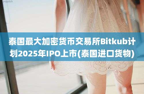 泰国最大加密货币交易所Bitkub计划2025年IPO上市(泰国进口货物)