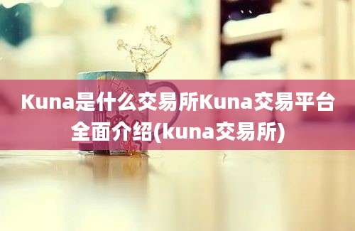 Kuna是什么交易所Kuna交易平台全面介绍(kuna交易所)