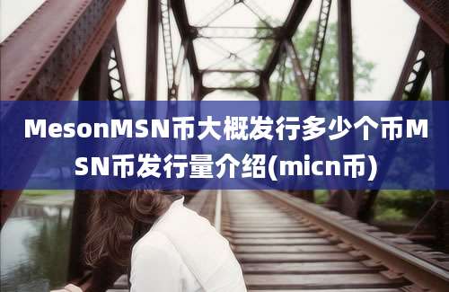 MesonMSN币大概发行多少个币MSN币发行量介绍(micn币)