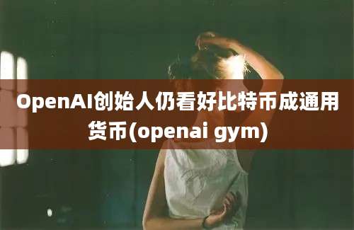 OpenAI创始人仍看好比特币成通用货币(openai gym)