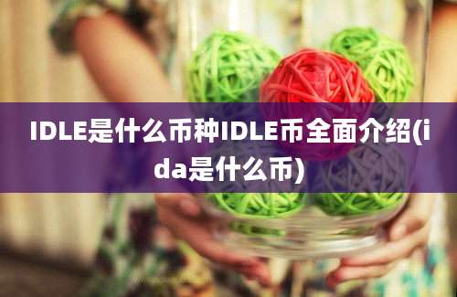 IDLE是什么币种IDLE币全面介绍(ida是什么币)