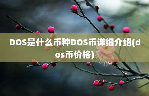 DOS是什么币种DOS币详细介绍(dos币价格)