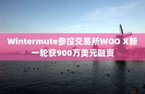 Wintermute参投交易所WOO X新一轮获900万美元融资