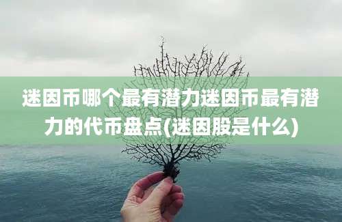 迷因币哪个最有潜力迷因币最有潜力的代币盘点(迷因股是什么)