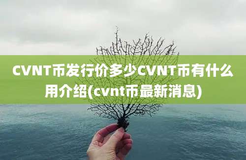 CVNT币发行价多少CVNT币有什么用介绍(cvnt币最新消息)