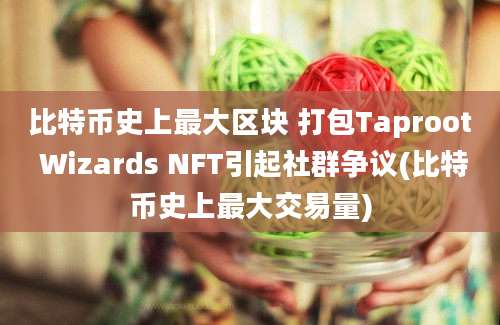 比特币史上最大区块 打包Taproot Wizards NFT引起社群争议(比特币史上最大交易量)