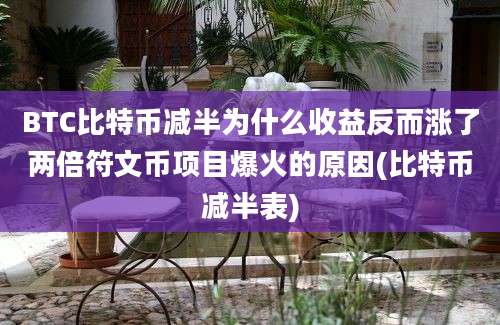 BTC比特币减半为什么收益反而涨了两倍符文币项目爆火的原因(比特币减半表)