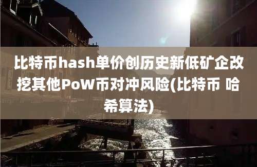 比特币hash单价创历史新低矿企改挖其他PoW币对冲风险(比特币 哈希算法)