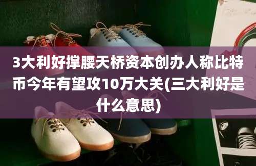 3大利好撑腰天桥资本创办人称比特币今年有望攻10万大关(三大利好是什么意思)