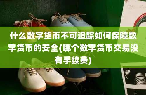 什么数字货币不可追踪如何保障数字货币的安全(哪个数字货币交易没有手续费)