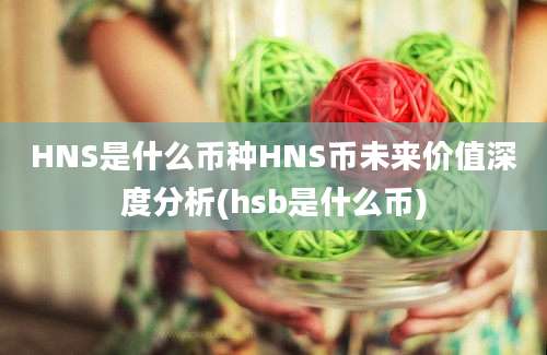 HNS是什么币种HNS币未来价值深度分析(hsb是什么币)