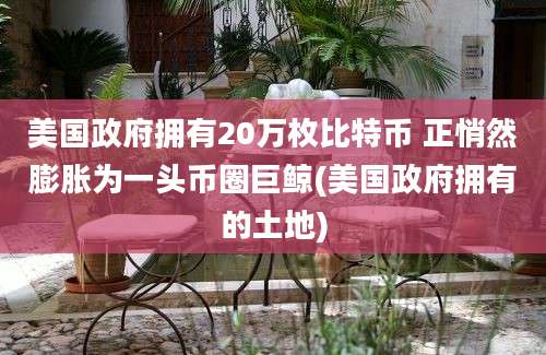 美国政府拥有20万枚比特币 正悄然膨胀为一头币圈巨鲸(美国政府拥有的土地)