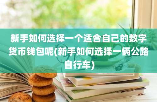 新手如何选择一个适合自己的数字货币钱包呢(新手如何选择一俩公路自行车)