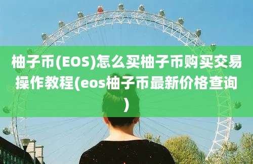 柚子币(EOS)怎么买柚子币购买交易操作教程(eos柚子币最新价格查询)