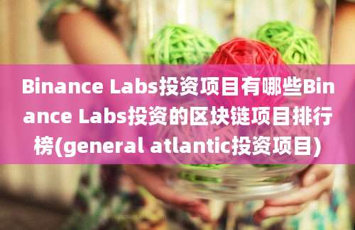 Binance Labs投资项目有哪些Binance Labs投资的区块链项目排行榜(general atlantic投资项目)