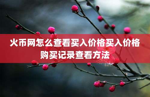 火币网怎么查看买入价格买入价格购买记录查看方法