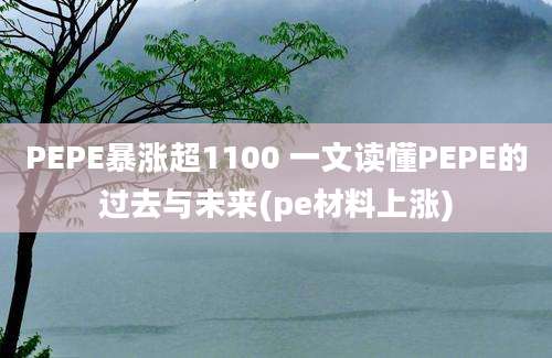 PEPE暴涨超1100 一文读懂PEPE的过去与未来(pe材料上涨)