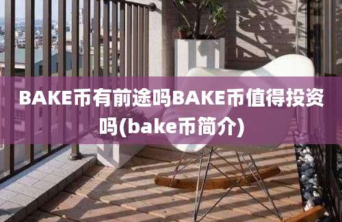 BAKE币有前途吗BAKE币值得投资吗(bake币简介)