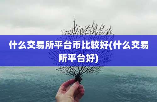 什么交易所平台币比较好(什么交易所平台好)