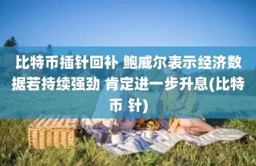 比特币插针回补 鲍威尔表示经济数据若持续强劲 肯定进一步升息(比特币 针)