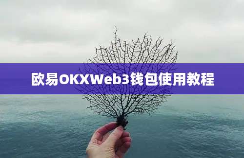 欧易OKXWeb3钱包使用教程