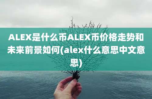 ALEX是什么币ALEX币价格走势和未来前景如何(alex什么意思中文意思)