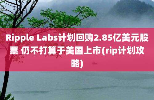 Ripple Labs计划回购2.85亿美元股票 仍不打算于美国上市(rip计划攻略)