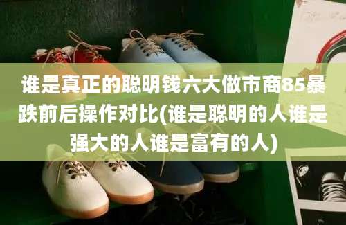 谁是真正的聪明钱六大做市商85暴跌前后操作对比(谁是聪明的人谁是强大的人谁是富有的人)