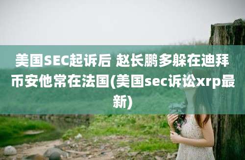 美国SEC起诉后 赵长鹏多躲在迪拜币安他常在法国(美国sec诉讼xrp最新)