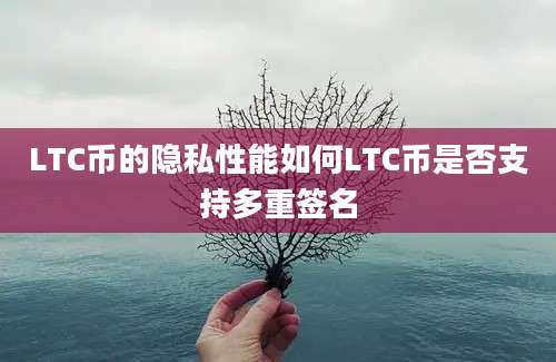 LTC币的隐私性能如何LTC币是否支持多重签名