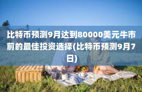 比特币预测9月达到80000美元牛市前的最佳投资选择(比特币预测9月7日)