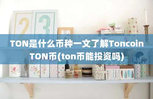 TON是什么币种一文了解ToncoinTON币(ton币能投资吗)