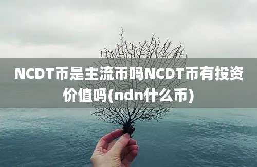 NCDT币是主流币吗NCDT币有投资价值吗(ndn什么币)